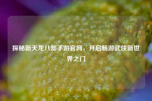 探秘新天龙八部手游官网,开启畅游武侠新世界之门