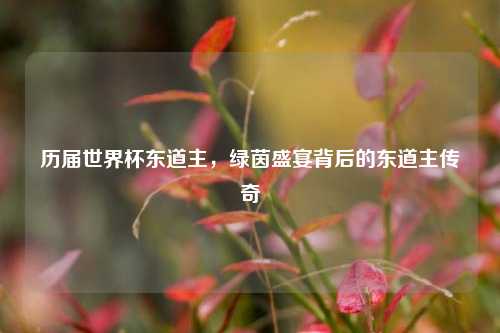 历届世界杯东道主,绿茵盛宴背后的东道主传奇
