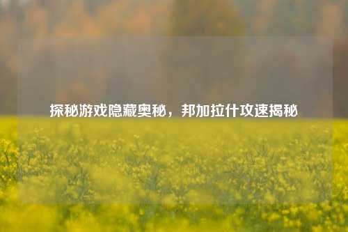 探秘游戏隐藏奥秘,邦加拉什攻速揭秘