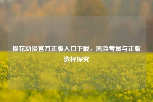 樱花动漫官方正版入口下载,风险考量与正版选择探究