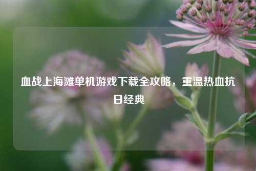 血战上海滩单机游戏下载全攻略,重温热血抗日经典