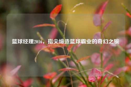 篮球经理2016,指尖缔造篮球霸业的奇幻之旅