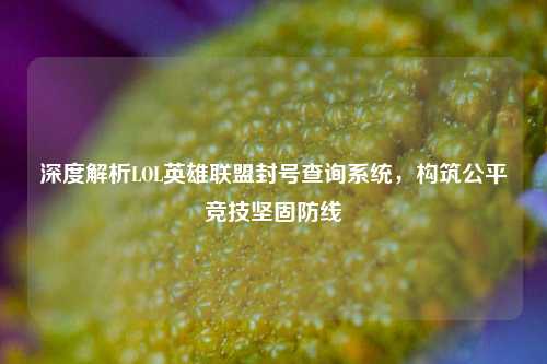 深度解析LOL英雄联盟封号查询系统,构筑公平竞技坚固防线