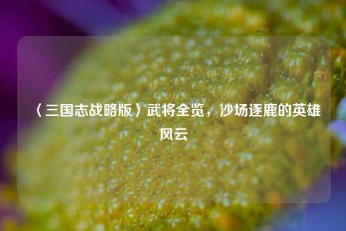 〈三国志战略版〉武将全览,沙场逐鹿的英雄风云