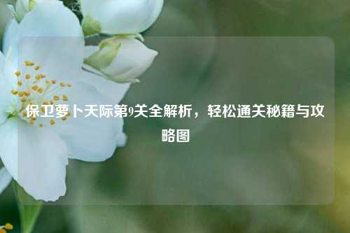 保卫萝卜天际第9关全解析,轻松通关秘籍与攻略图
