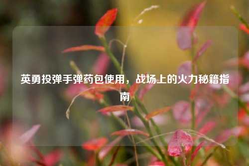 英勇投弹手弹药包使用,战场上的火力秘籍指南