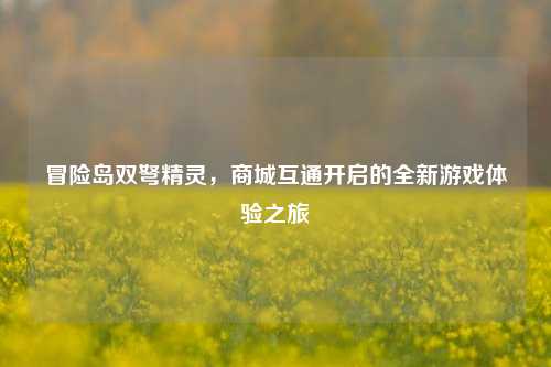 冒险岛双弩精灵,商城互通开启的全新游戏体验之旅