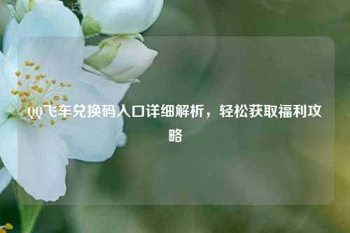 QQ飞车兑换码入口详细解析,轻松获取福利攻略