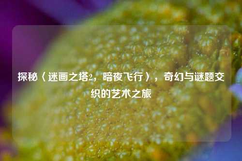 探秘〈迷画之塔2,暗夜飞行〉,奇幻与谜题交织的艺术之旅