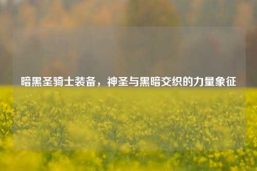 暗黑圣骑士装备,神圣与黑暗交织的力量象征