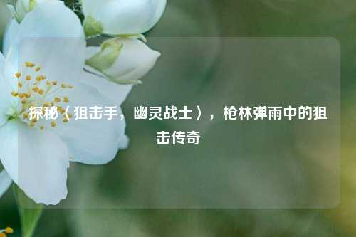 探秘〈狙击手,幽灵战士〉,枪林弹雨中的狙击传奇