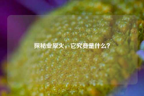 探秘业原火,它究竟是什么?