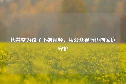苍井空为孩子下架视频,从公众视野迈向家庭守护