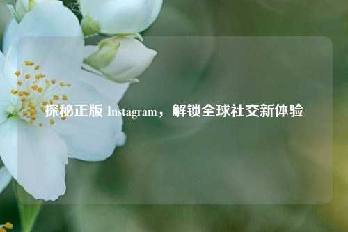 探秘正版 Instagram,解锁全球社交新体验