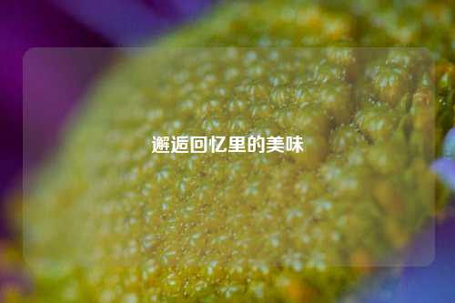 邂逅回忆里的美味