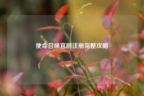 使命召唤官网注册完整攻略