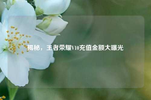 揭秘,王者荣耀V10充值金额大曝光