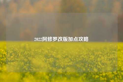 2022阿修罗改版加点攻略