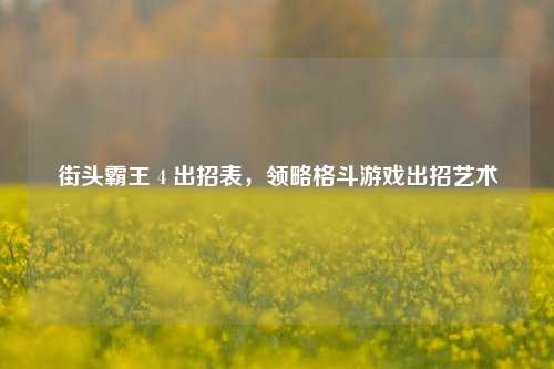 街头霸王 4 出招表,领略格斗游戏出招艺术