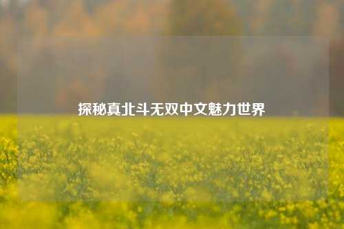 探秘真北斗无双中文魅力世界