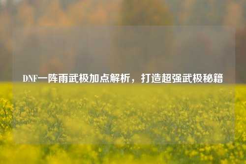 DNF一阵雨武极加点解析，打造超强武极秘籍