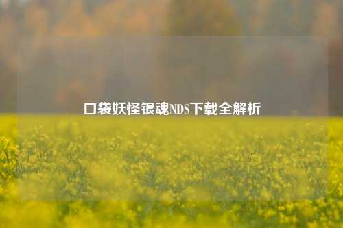 口袋妖怪银魂NDS下载全解析
