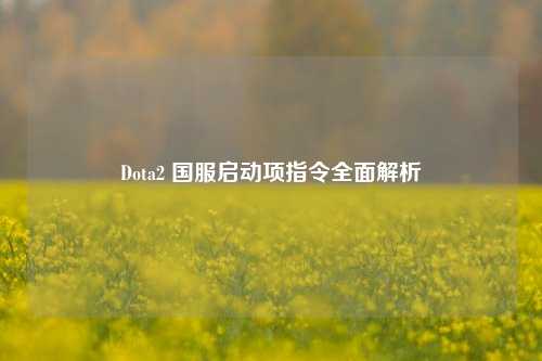 Dota2 国服启动项指令全面解析