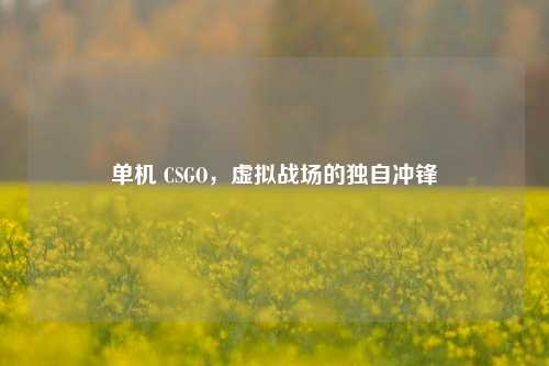 单机 CSGO，虚拟战场的独自冲锋