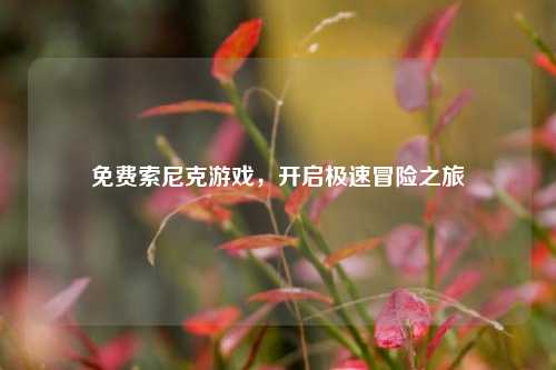 免费索尼克游戏，开启极速冒险之旅