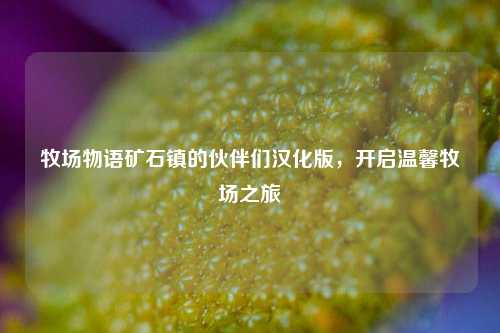 牧场物语矿石镇的伙伴们汉化版，开启温馨牧场之旅