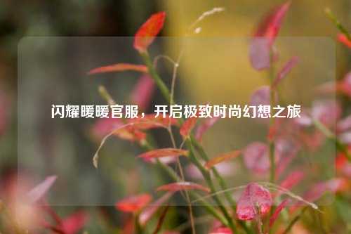 闪耀暖暖官服，开启极致时尚幻想之旅