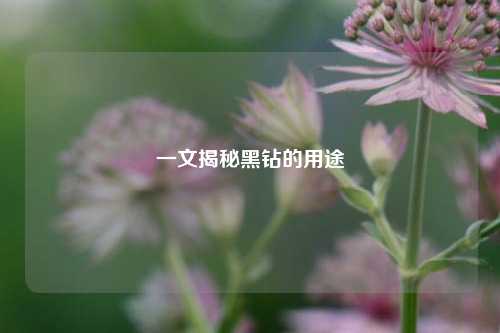 一文揭秘黑钻的用途