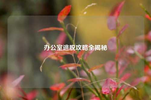 办公室逃脱攻略全揭秘