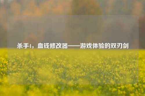 杀手4,血钱修改器——游戏体验的双刃剑