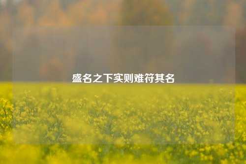 盛名之下实则难符其名