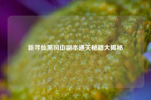 新寻仙黑风山副本通关秘籍大揭秘