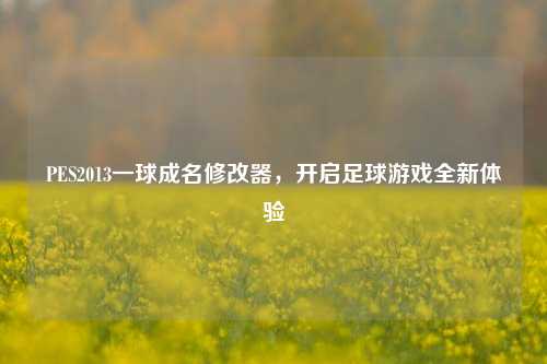 PES2013一球成名修改器,开启足球游戏全新体验