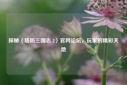 探秘〈塔防三国志 2〉官网论坛,玩家的精彩天地