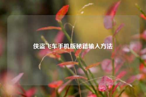 侠盗飞车手机版秘籍输入方法