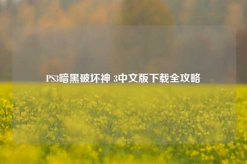 PS3暗黑破坏神 3中文版下载全攻略