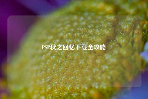 PSP秋之回忆下载全攻略