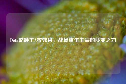 Dota骷髅王A杖效果，战场重生主宰的质变之力