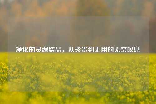 净化的灵魂结晶,从珍贵到无用的无奈叹息