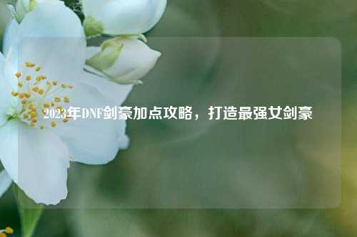 2023年DNF剑豪加点攻略,打造最强女剑豪