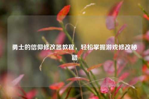 勇士的信仰修改器教程,轻松掌握游戏修改秘籍