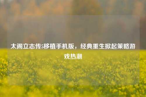太阁立志传5移植手机版,经典重生掀起策略游戏热潮