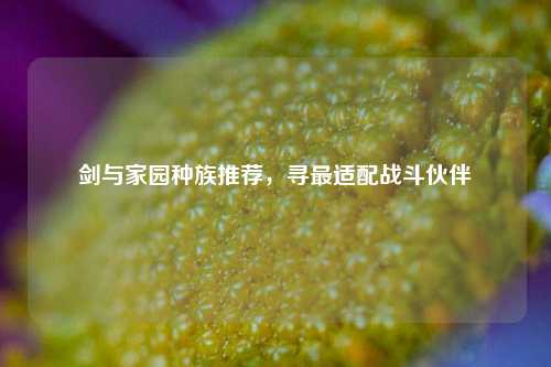 剑与家园种族推荐,寻最适配战斗伙伴