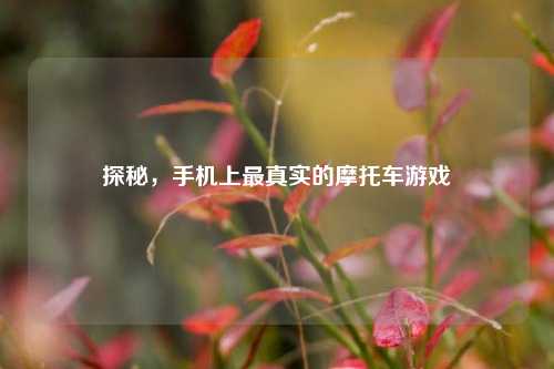 探秘，手机上最真实的摩托车游戏