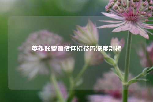 英雄联盟盲僧连招技巧深度剖析