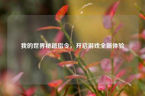 我的世界秘籍指令,开启游戏全新体验